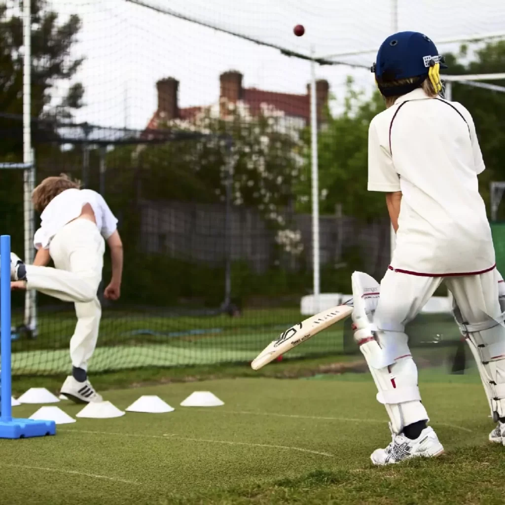 cricket-practice-pitch